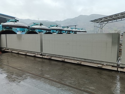 遵义习水:打造新型综合能源基地 推动煤电产业高质量发展
